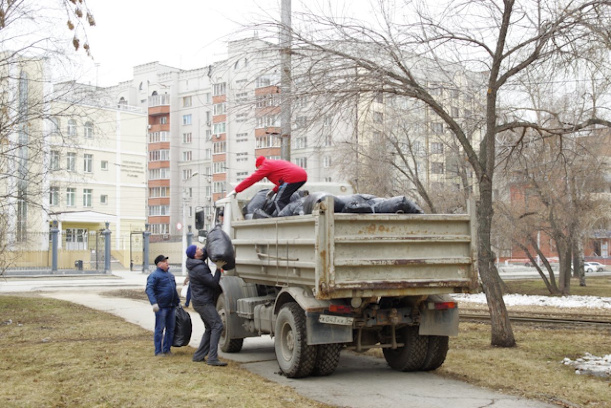    В Новосибирске компании призывают участвовать в общегородском субботнике