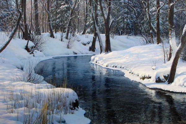 Источник изображения :  vk.com›