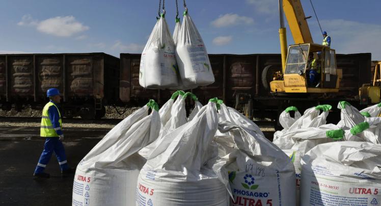 Без удобрений сегодня как без воды - и не туды и не сюды (фото с сайта flectone.ru)