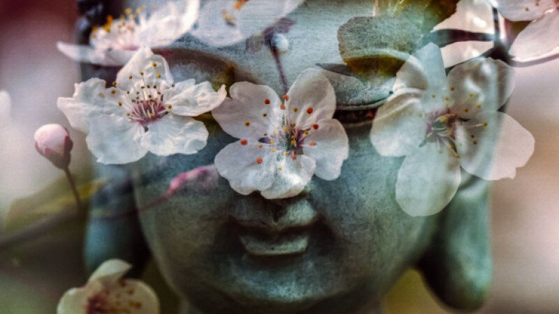     Будда. Статуя. Религия СС0