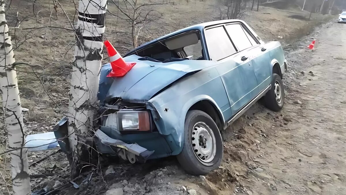 Пьяный бесправник врезался в дерево — пострадали два человека | Новая  Хакасия | Дзен