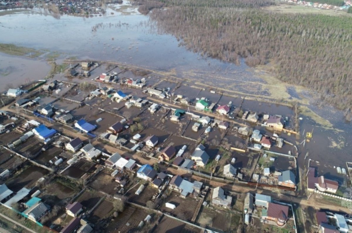 В Удмуртии начал снижаться уровень воды в реке Лоза | АиФ Удмуртия | Дзен