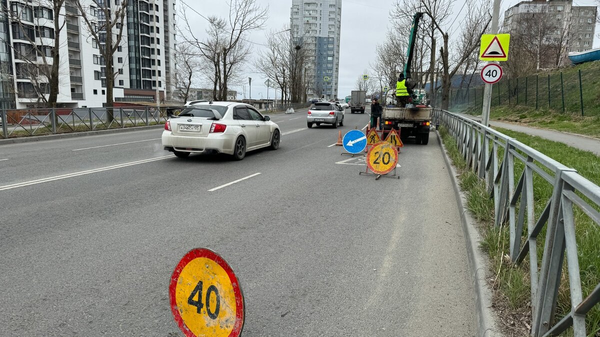     Автор: Анастасия Котлярова Источник: vlc.ru