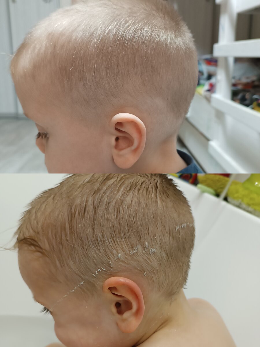 Фото до и после стрижки.