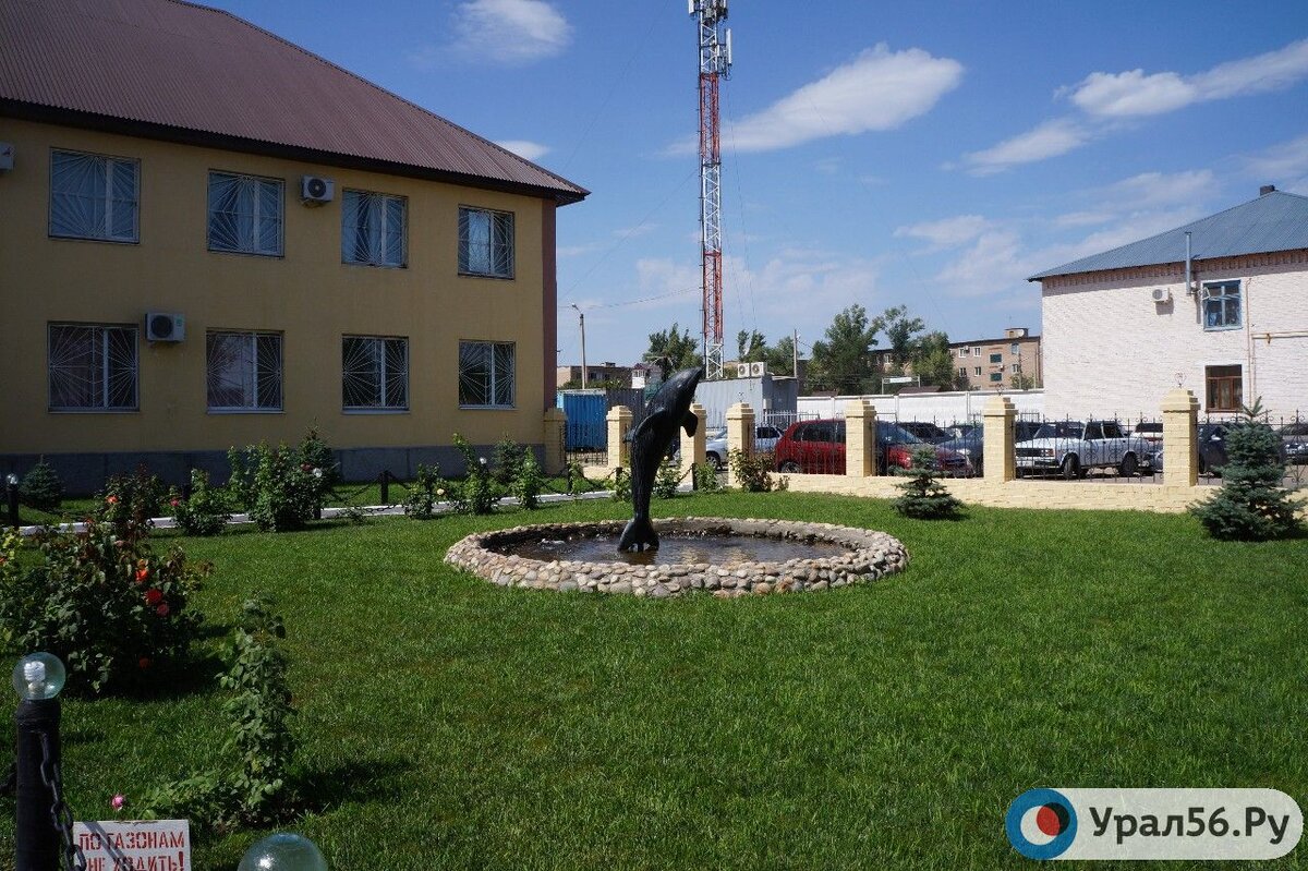    Генпрокуратуру попросили проверить оренбургскую колонию «Черный Дельфин». Заключенные сообщают о жестоких пытках