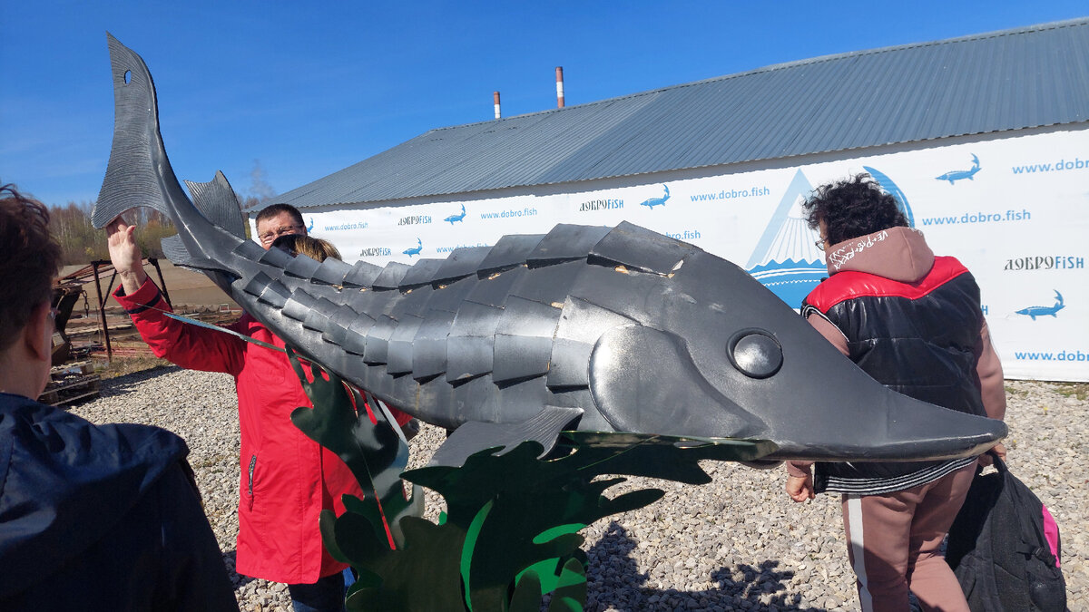 Символ хозяйства - осетр Фома. Все приезжающие дотрагиваются до его хвоста, гладят и загадывать желание. 