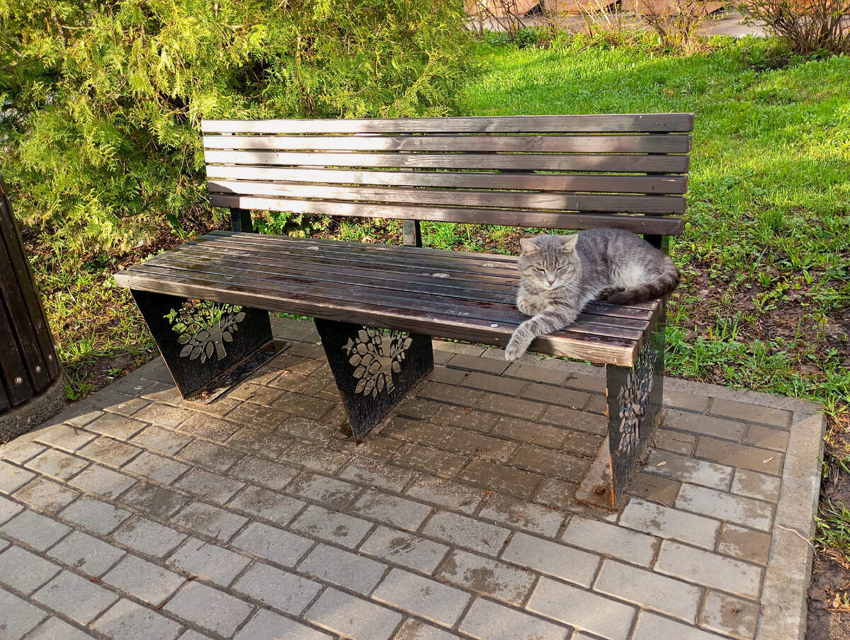 Фото автора