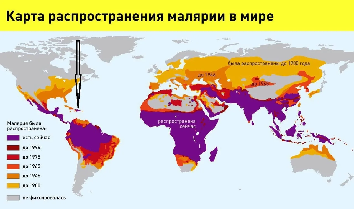 Карта распространения малярии в мире