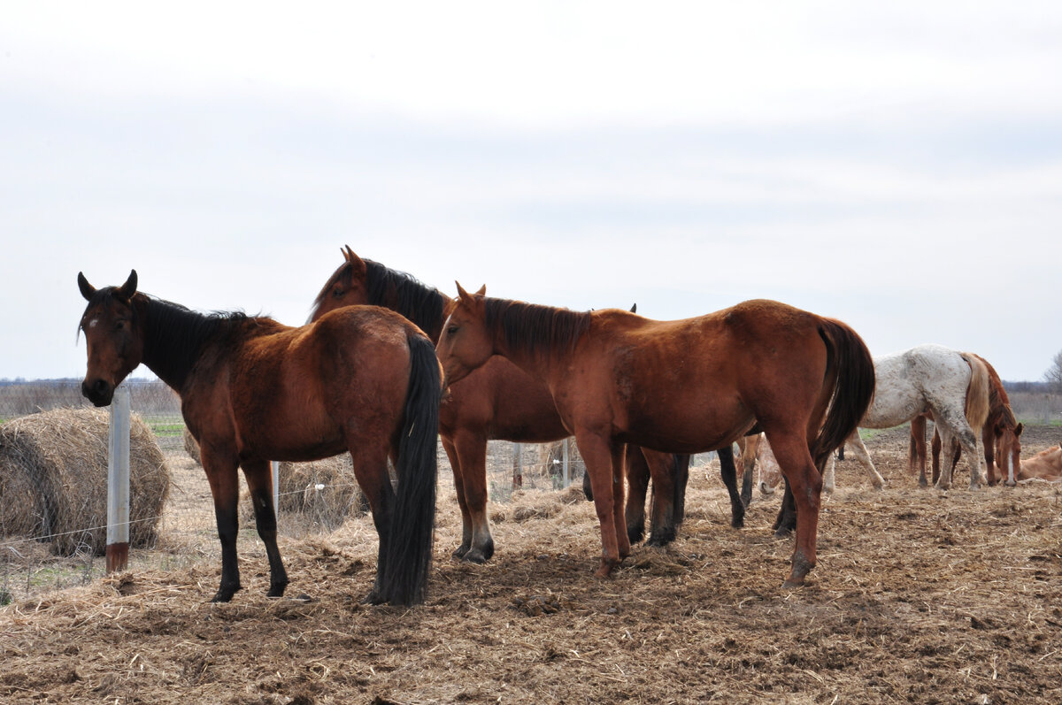 Фото: пресс-служба центра «Мой бизнес»