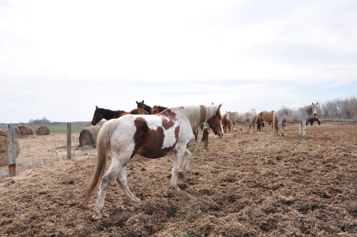 Фото: пресс-служба центра «Мой бизнес»
