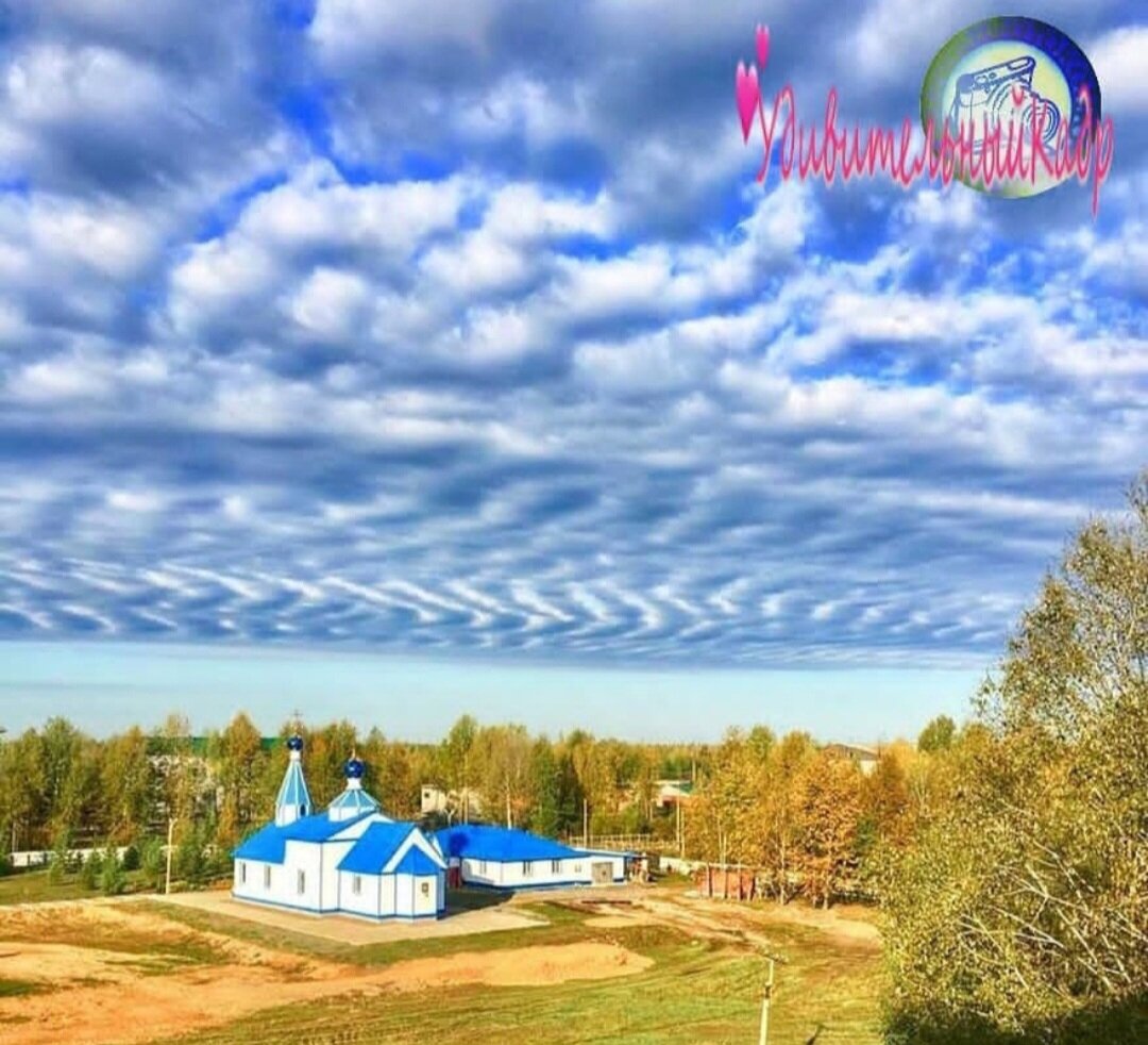 Фото присланное на мой фотоконкурс. 