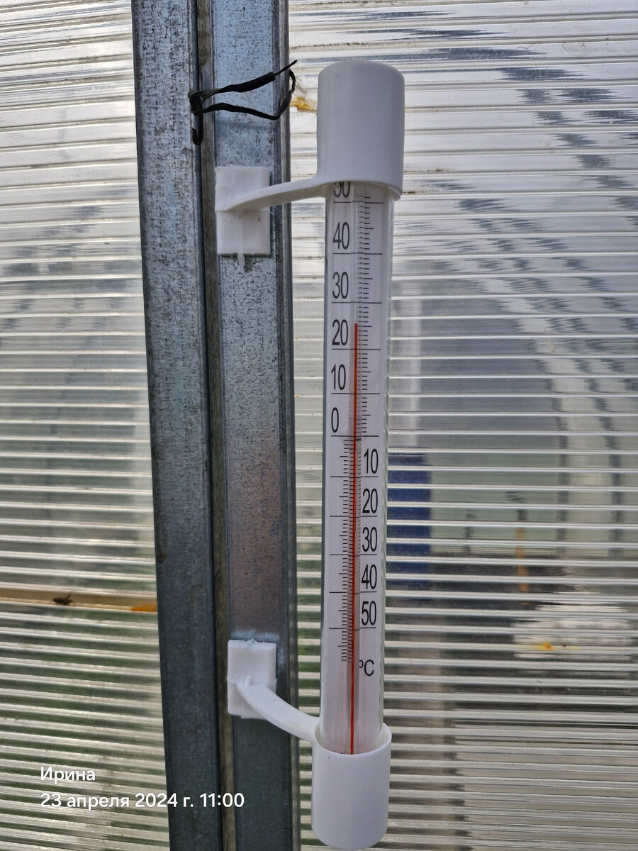 А на улице совсем не жарко, пронизывающий холодный ветер. Чувствую, нагонит чего не надо.