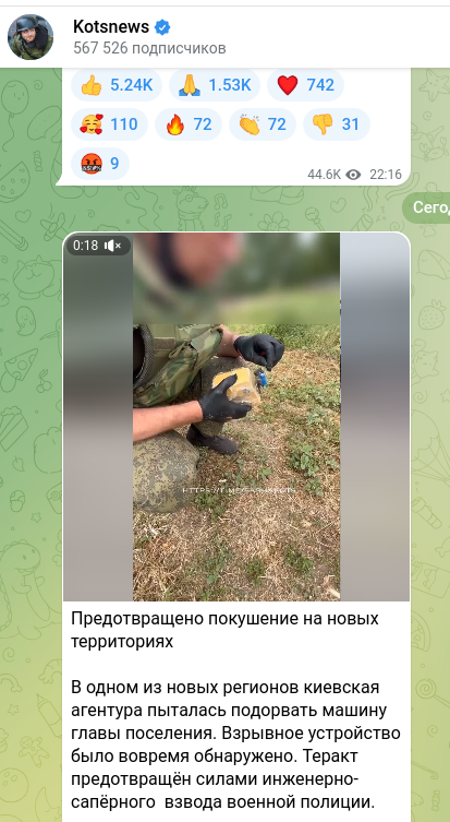    Скриншот t.me/sashakots