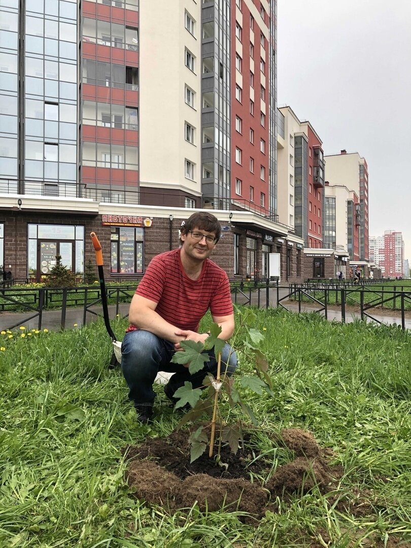    За последние 6 лет Дмитрий Суслов высадил более 100 деревьев в своём районе.предоставлено героем публикации