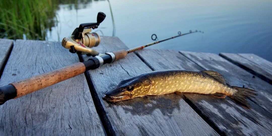 Новые правила и запреты для рыбаков