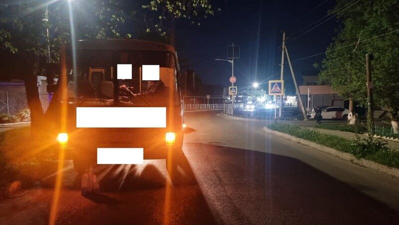      Фото: УГИБДД по Ставрополью