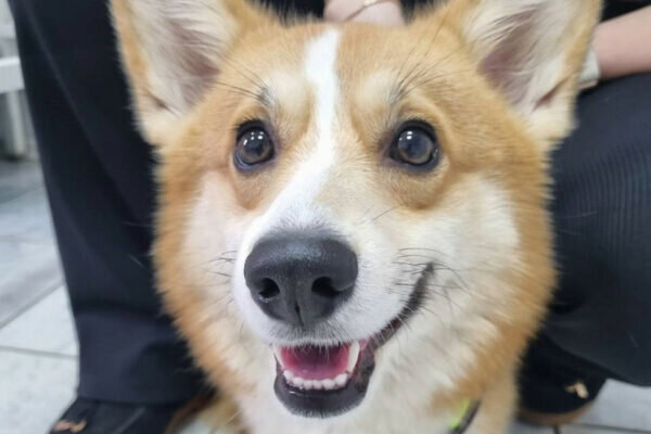    Фото: Telegram-канал социального комплекса Москвы