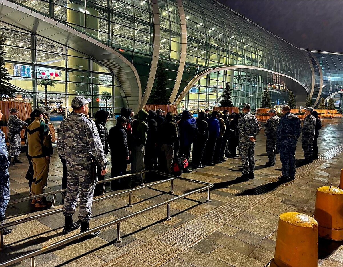 Мигрантов привезли в Домодедово и отправили по домам