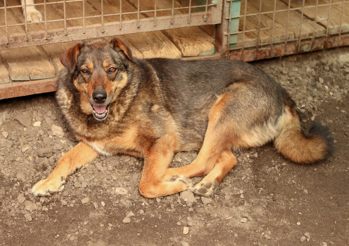 Заголовок не манипуляция. Даже статью многие не прочитают до конца... 