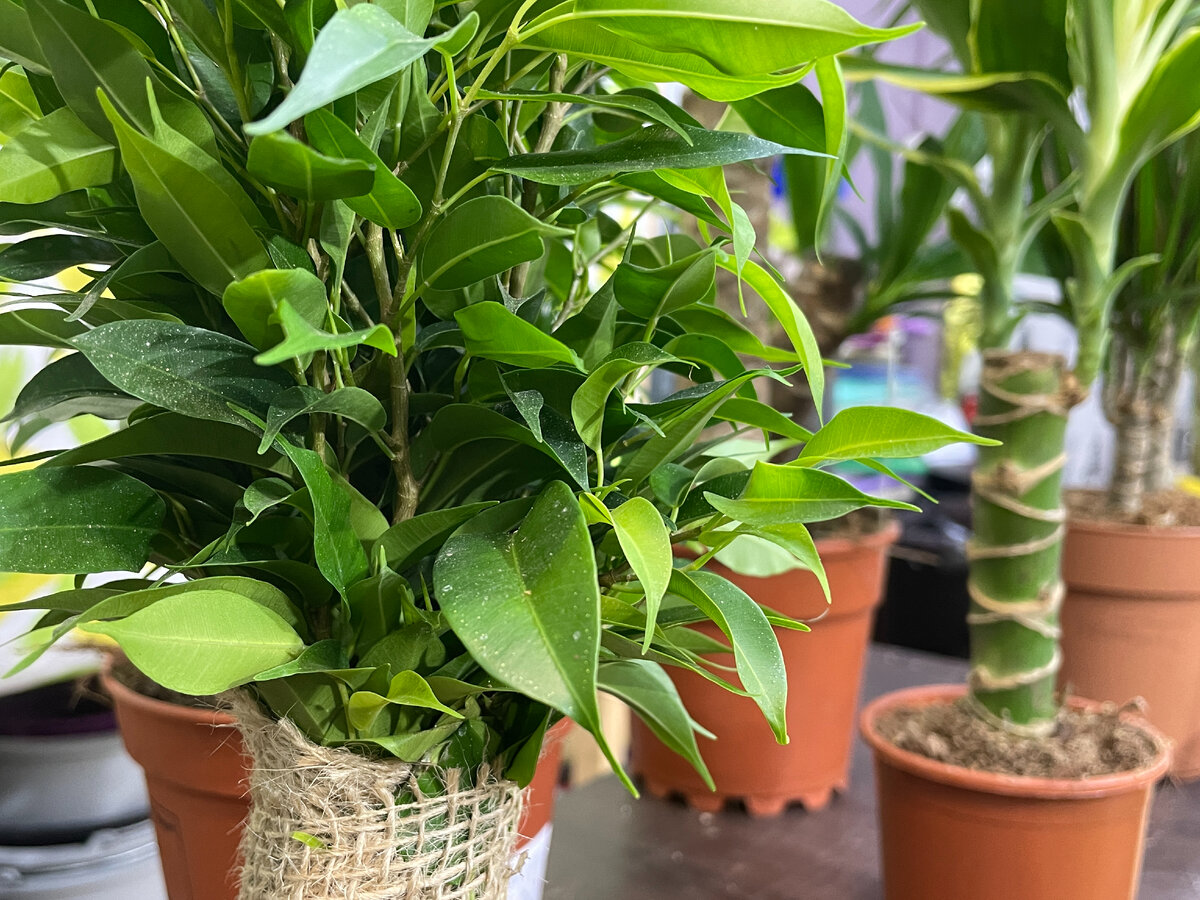 Фото: Тульская служба новостей/Никита Печников