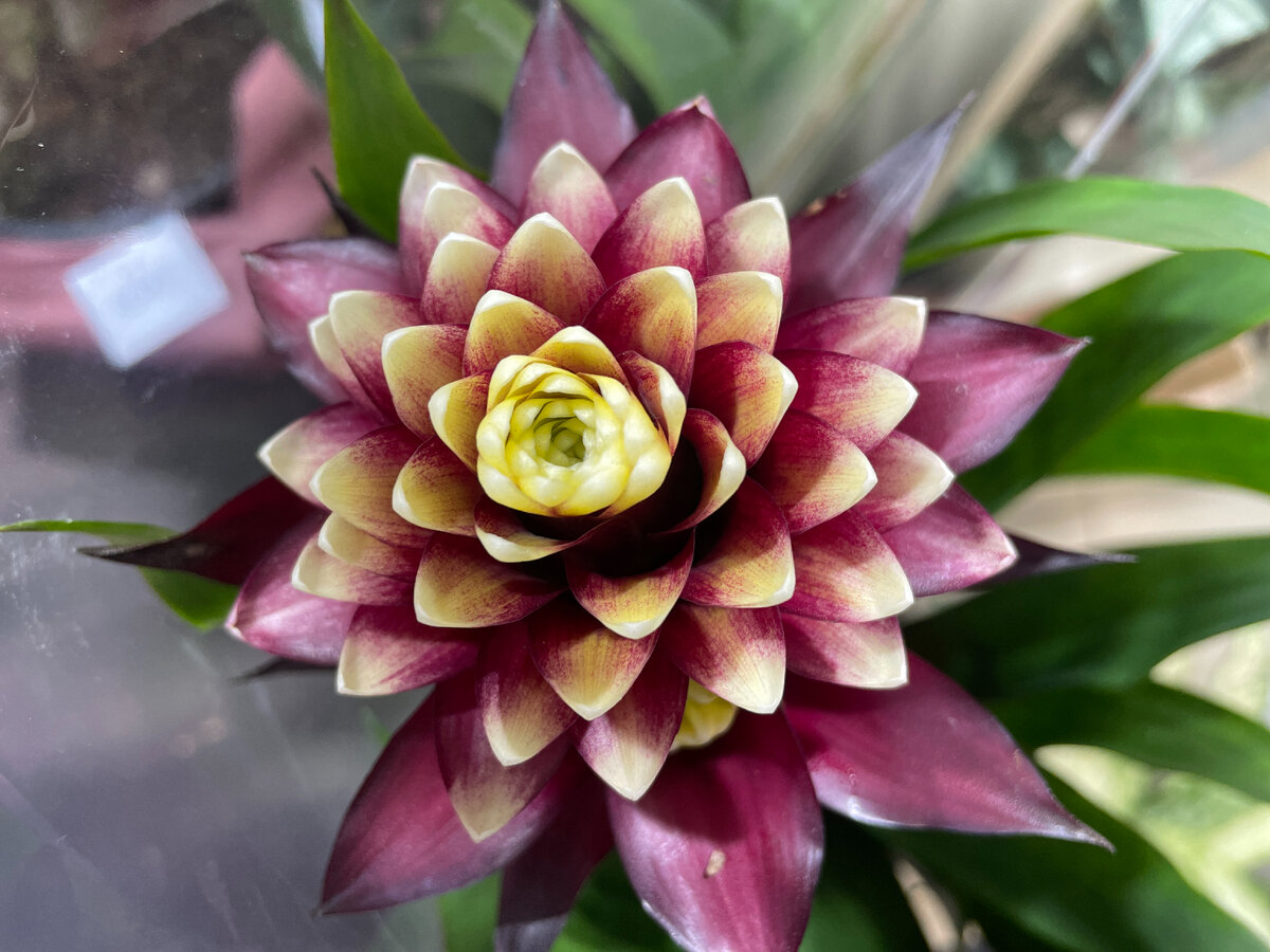 Фото: Тульская служба новостей/Никита Печников 