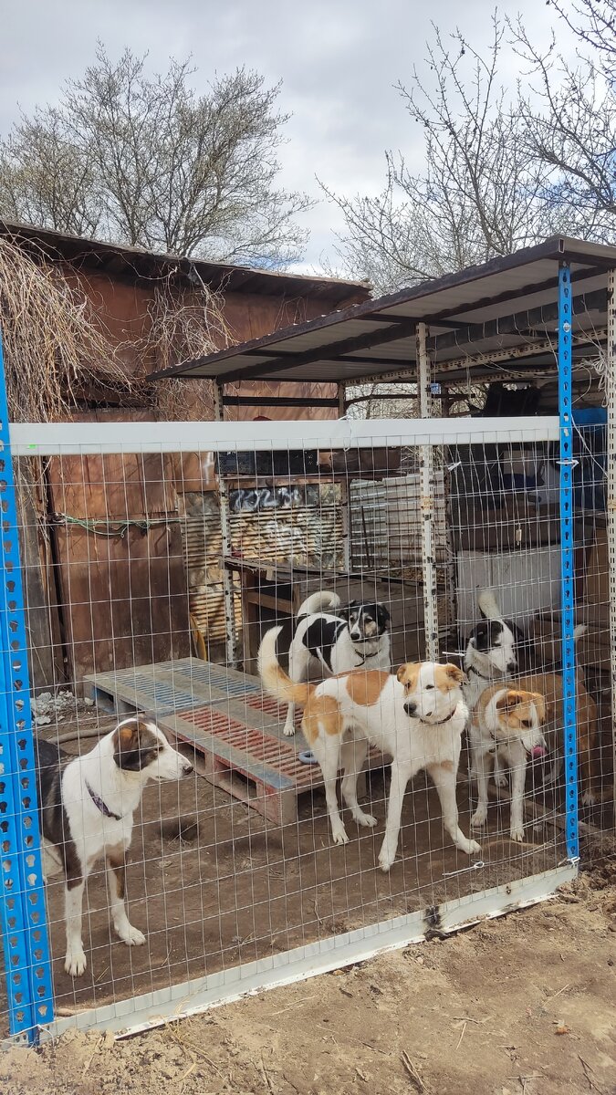 Уменьшенная версия вольера. 