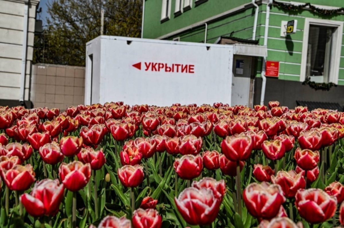    В частном секторе Белгорода устанавливают новые укрытия