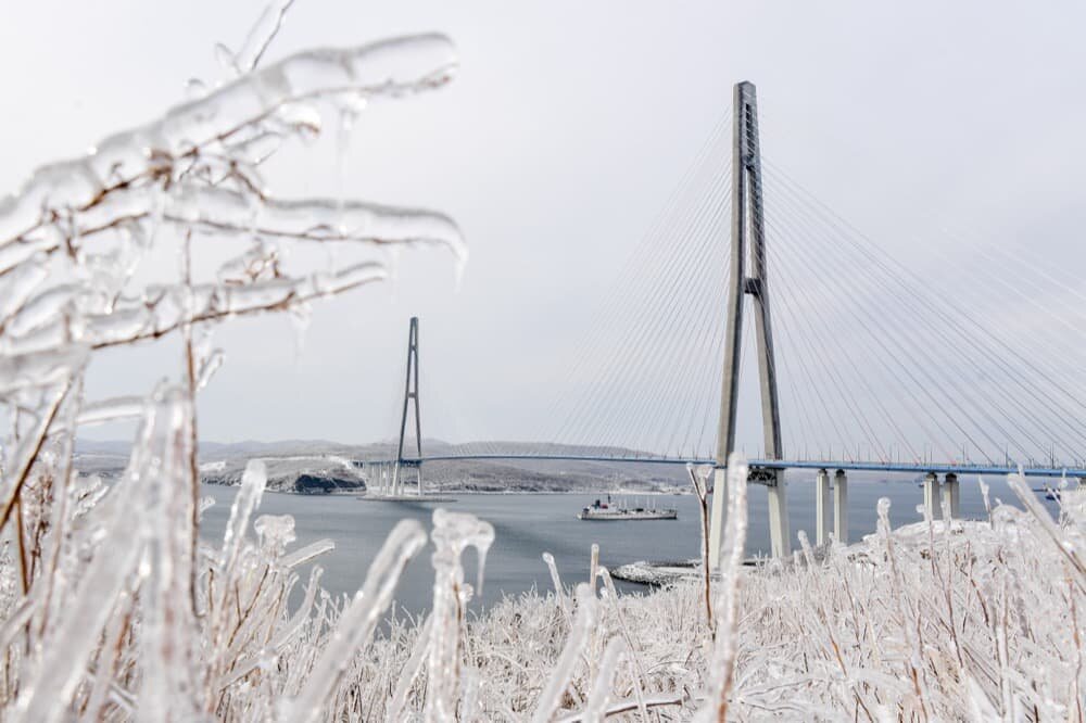 Фото: Юрий Смитюк/ТАСС