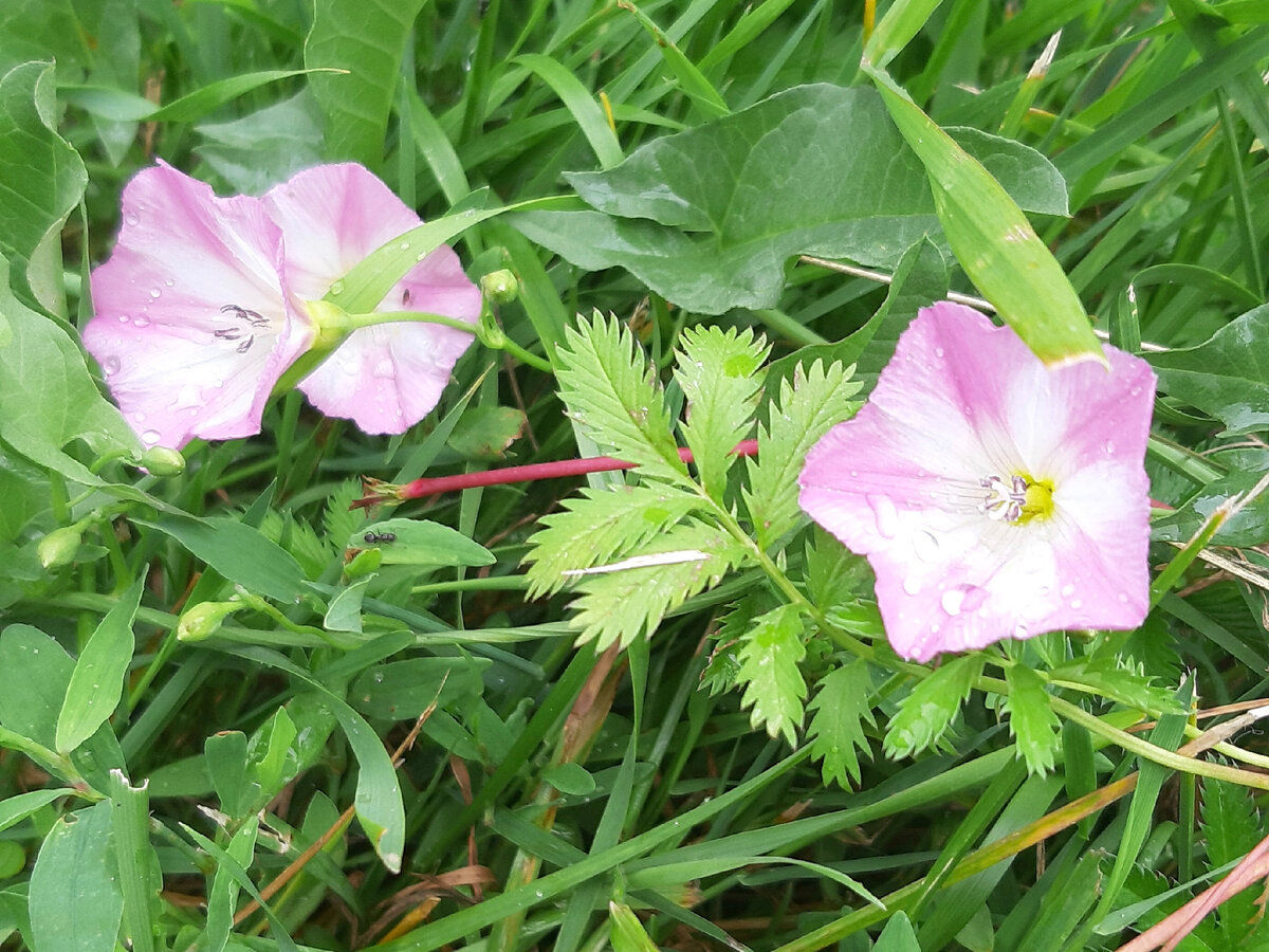 Фото из личного архива