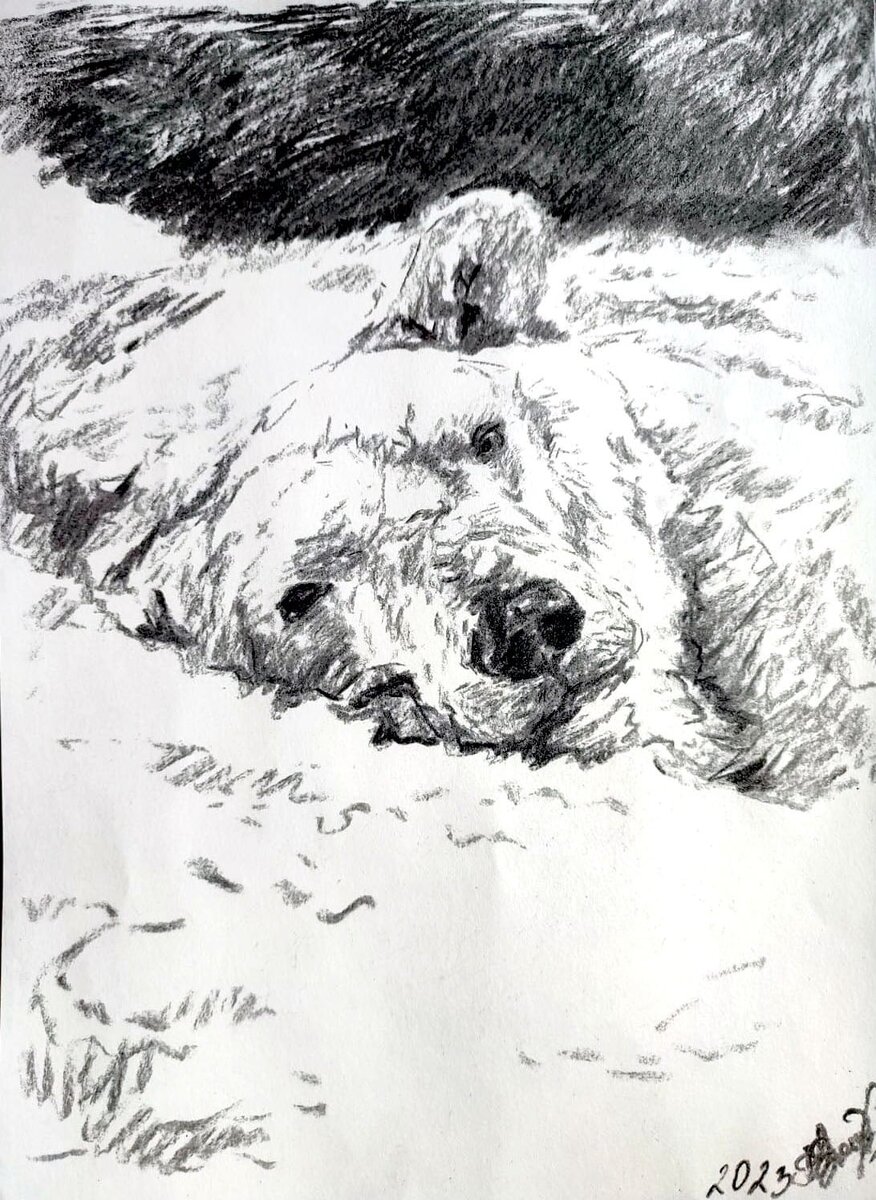 "Медведь", Лериана Дигитвинс, 2023 г.