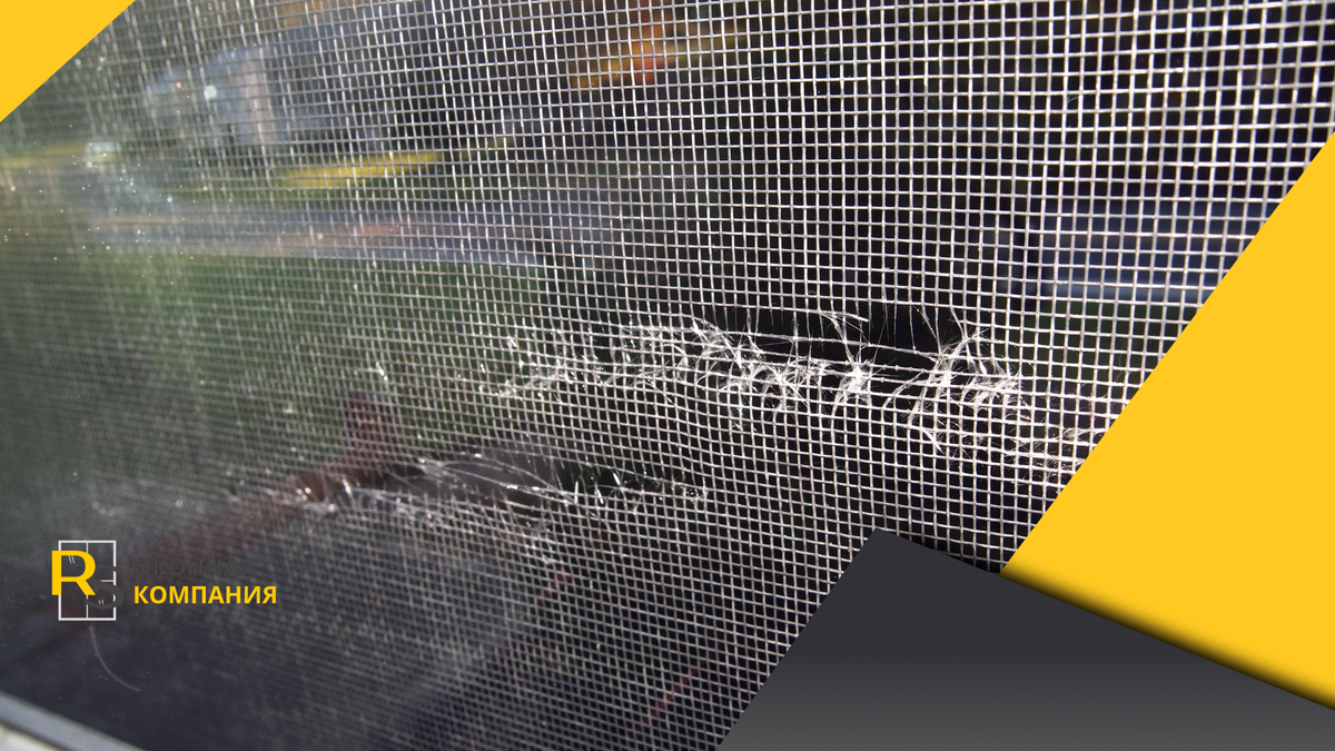 Вот к таким последствиям может привести "нашествие" пернатых