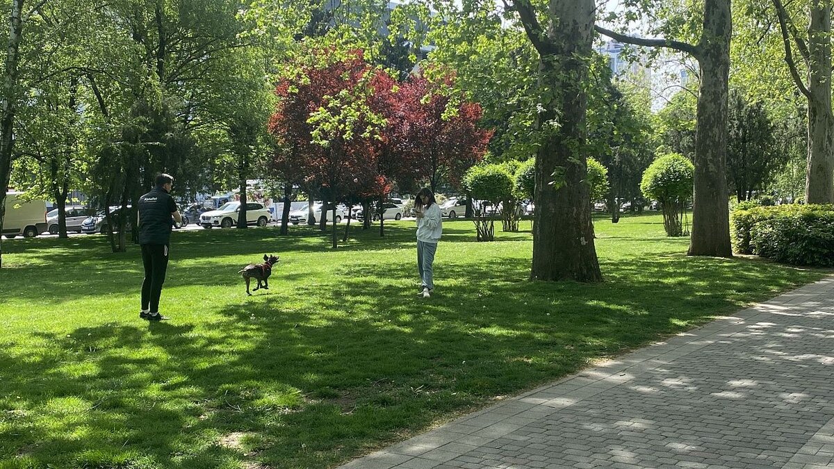    10% краснодарцев берут отпуск для увеличения майских выходных Фото: телеканал Краснодар