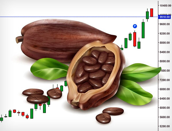 Бешеный рост цен на какао на мировых рынках оказался в центре внимания биржевых аналитиков.