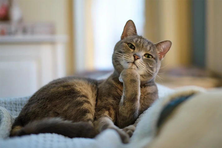 Да что вы такое говорите!