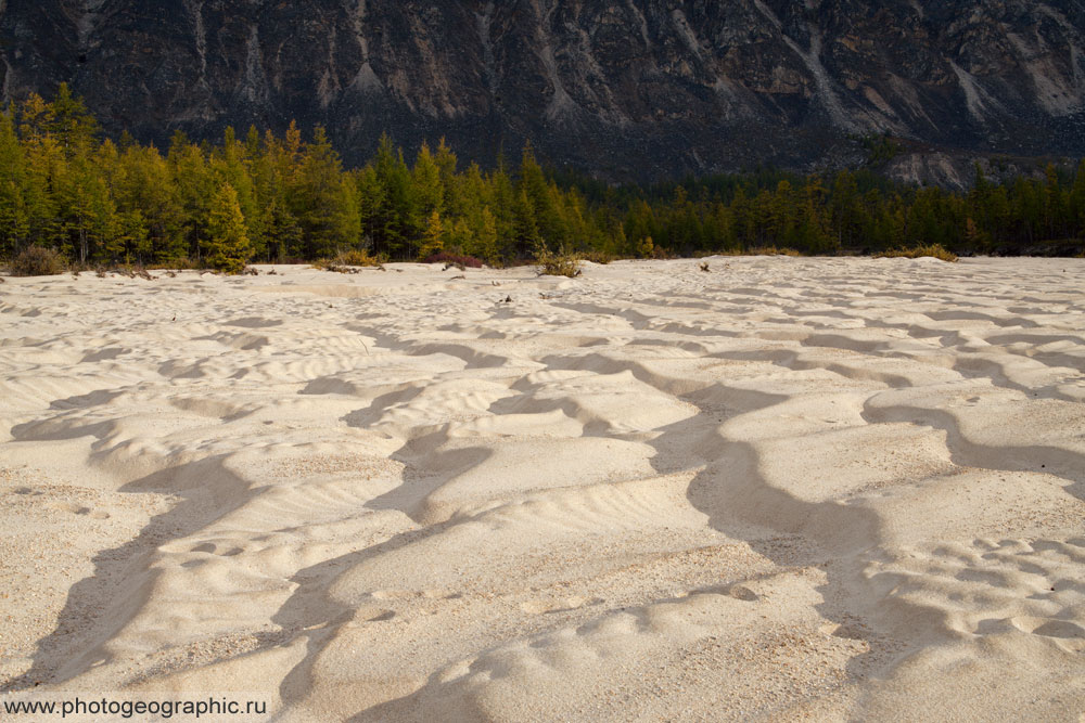 Вот здесь, на краю этой косы у леса и ночевали. Успел сделать несколько кадров утром на последних проблесках солнца.