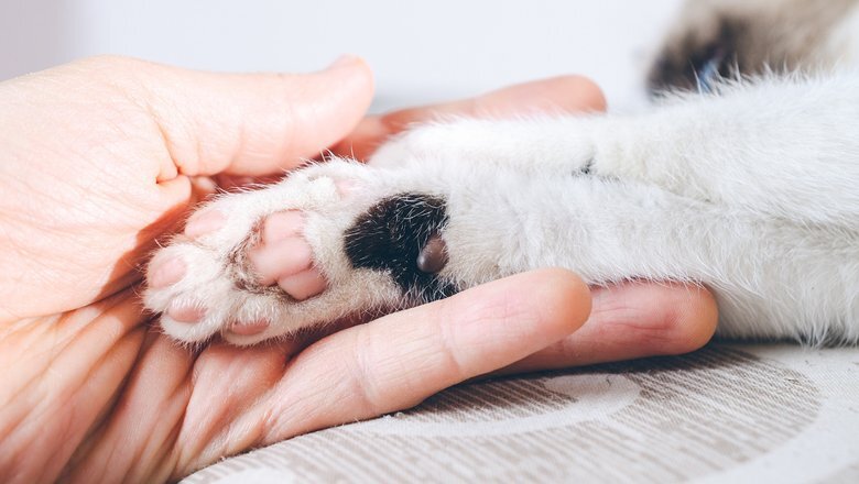 Источник: Freepik