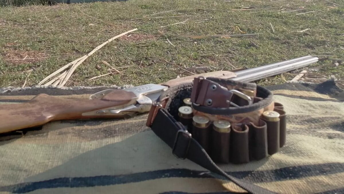     Источник: 1MI