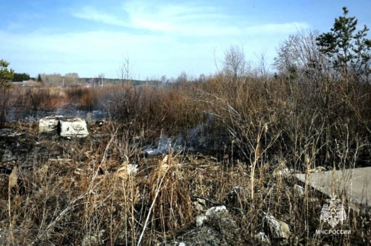    Поджог стал причиной природного пожара в Невьянском районе