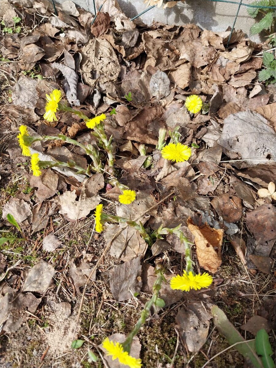 Фото из личного архива.