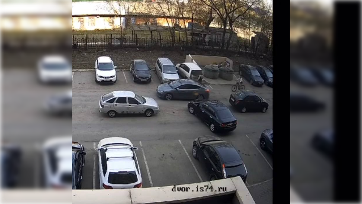Фото: соцсети