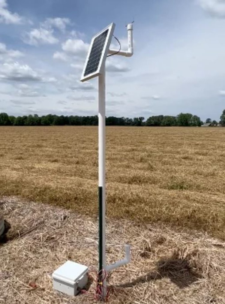     Споры по ветру: возбудителей болезней сои ученые ловят в воздухе
