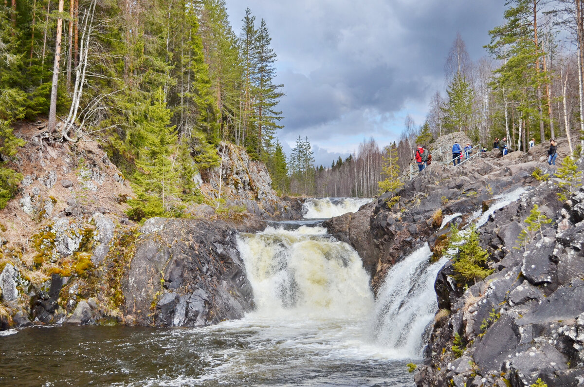 Фото: май 2015 года