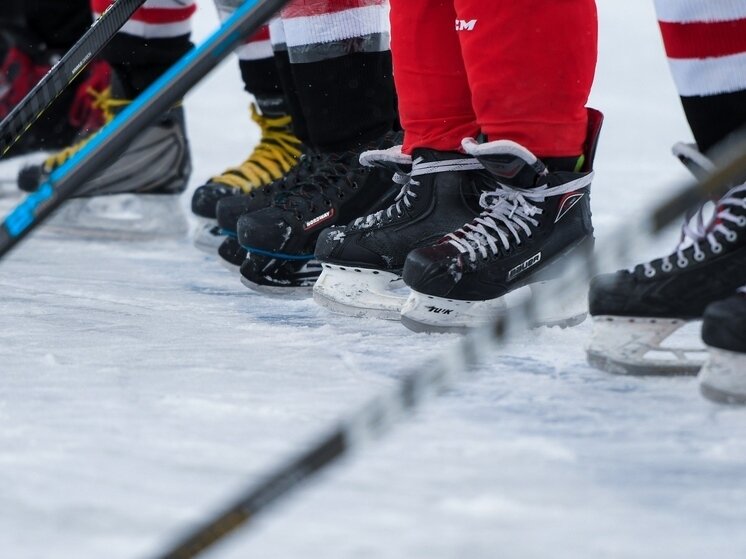     Фото: Людмила Ковалева (Южноуральская панорама)