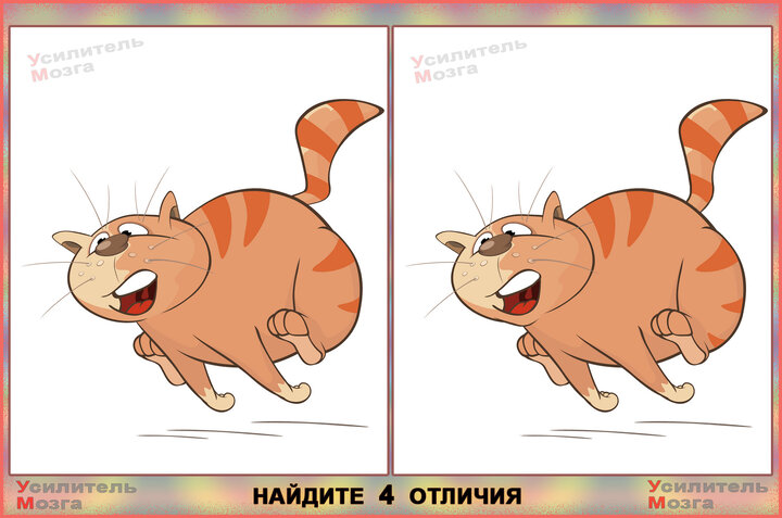 Кафе "У пани Сони"