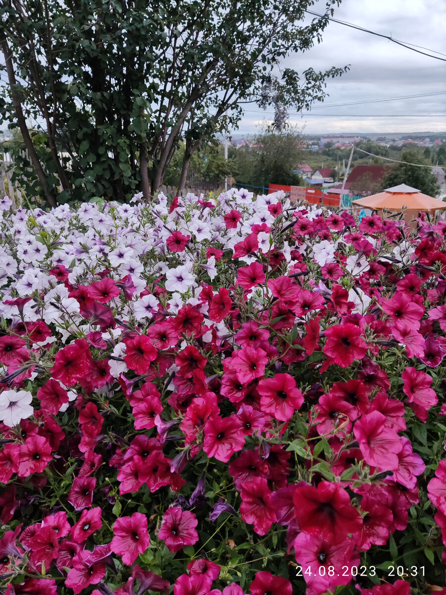 После дождя