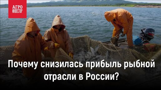 Почему снизилась прибыль рыбной отрасли в России?