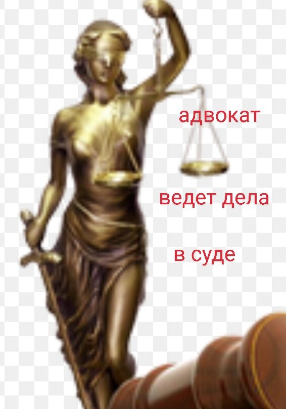 Установление сервитута. Что это такое? 