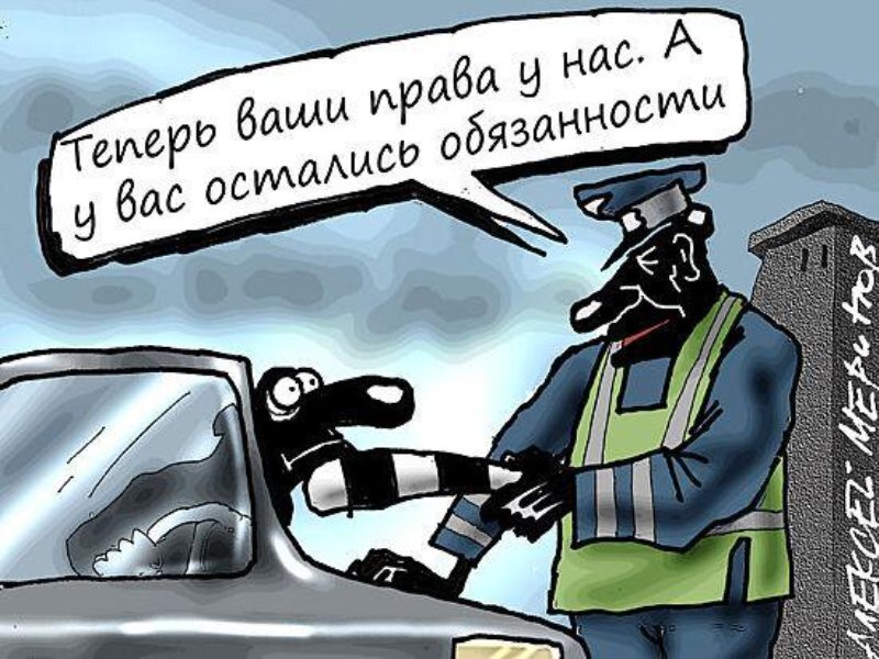 Карикатура: Алексей Меринов