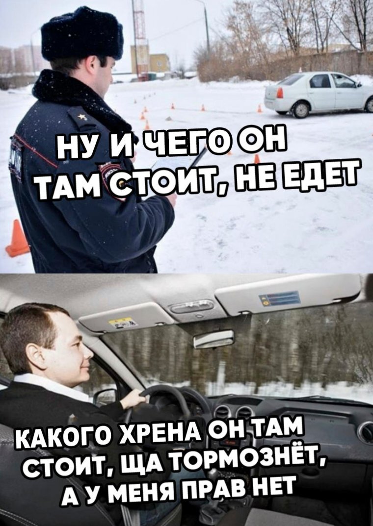 Сдала на права картинки прикольные