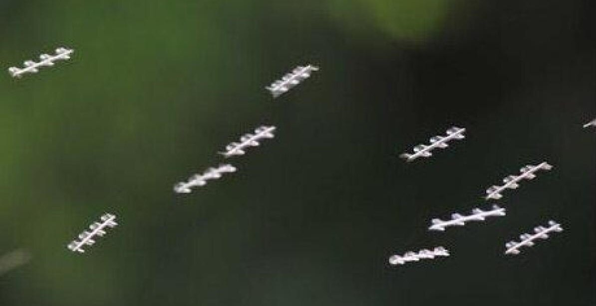 ВОЗДУШНЫЕ СТЕРЖНИ ИЛИ ЛЕТАЮЩИЕ СТЕРЖНИ (AIR RODS, НЕБЕСНЫЕ РЫБКИ, СКАЙФИШИ)